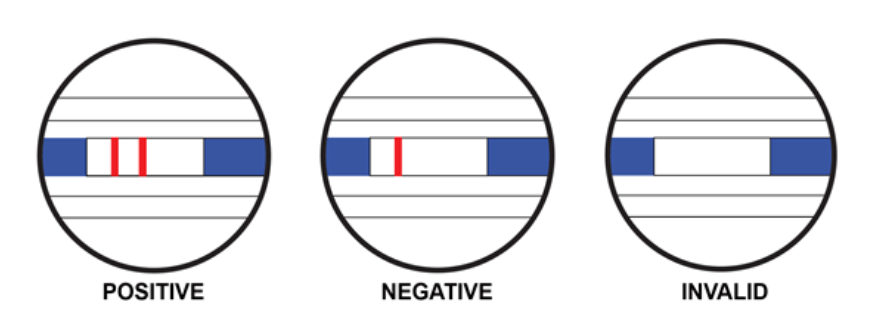 Rapid Antigen Test